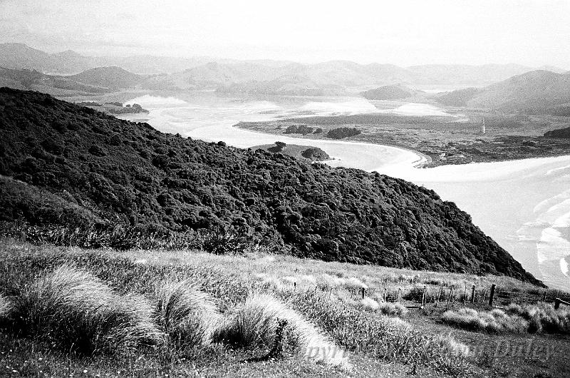 near Dunedin 00570036.JPG - Kodak TriX 400 film